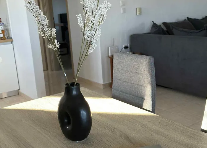 Olympus Embrace 렙토카리아