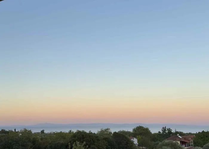 Olympus Embrace 렙토카리아