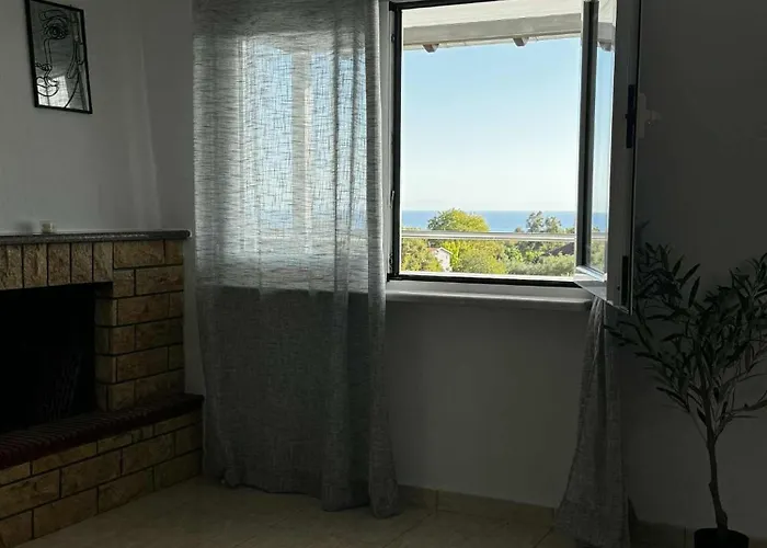 Olympus Embrace * 렙토카리아